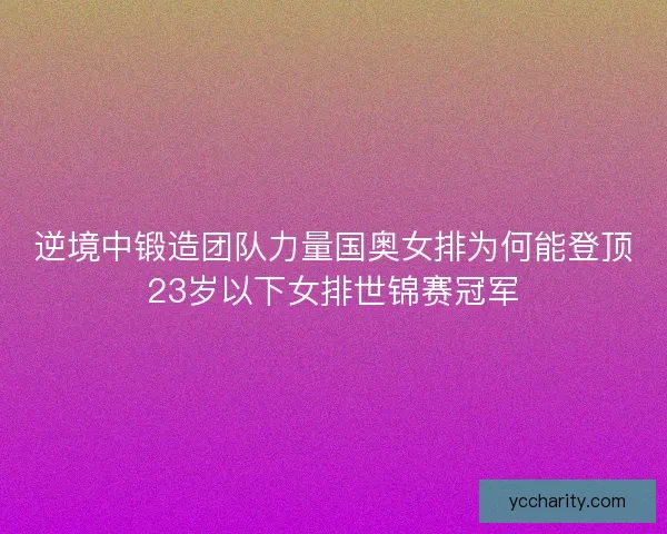 逆境中锻造团队力量国奥女排为何能登顶23岁以下女排世锦赛冠军