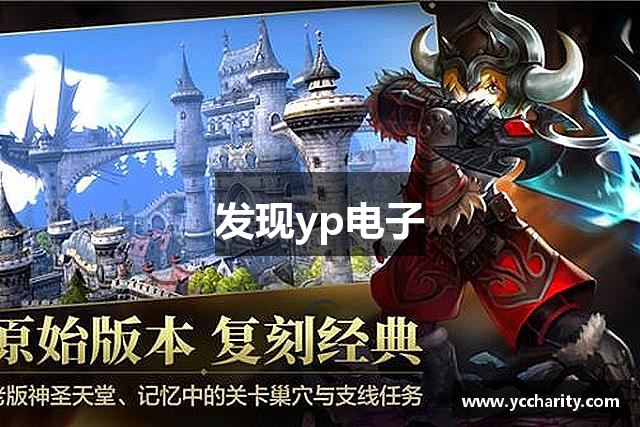 发现yp电子